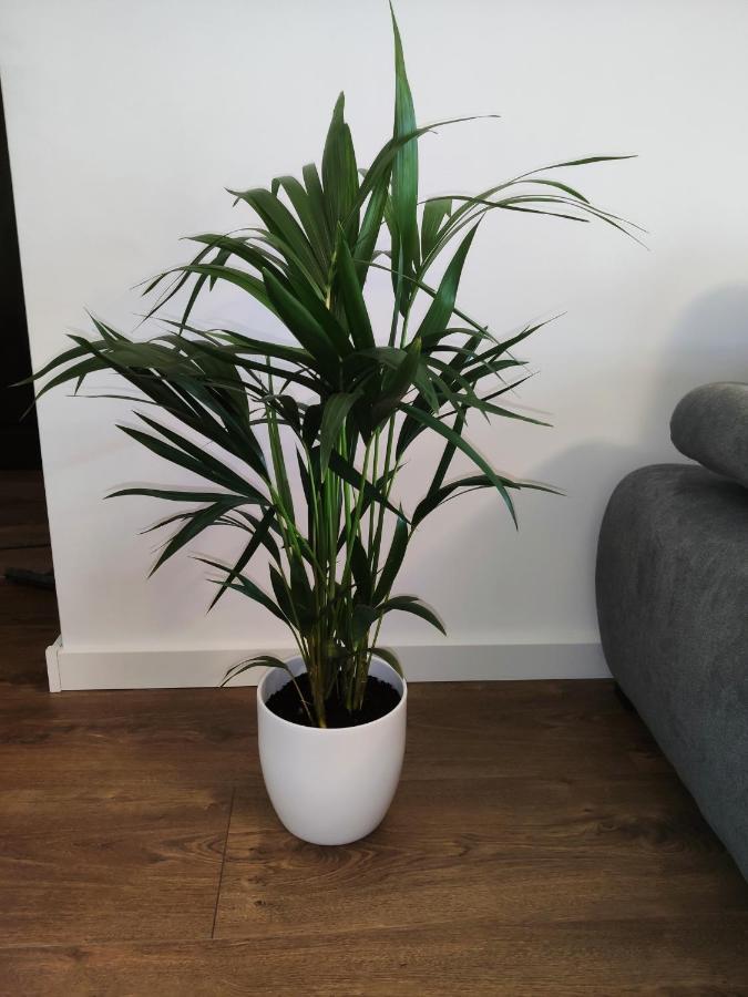 ウッチApartament Milionovaアパートメント エクステリア 写真